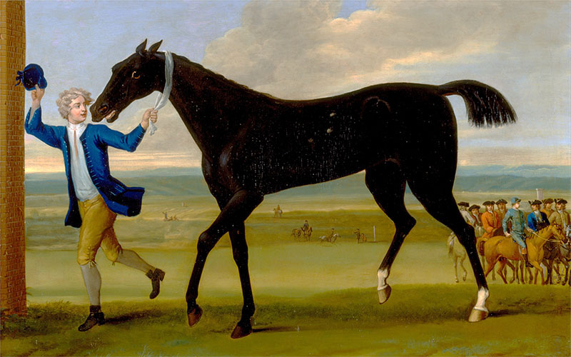 The Duke of Rutland's Bonny Black